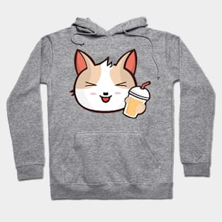 funny cat Hoodie